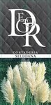 Cortaderia selloana - hauteur totale 40-50 cm - pot 2 ltr