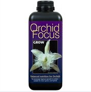 Orchid Focus Grow - 1 ltr