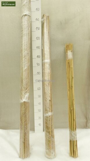 25 x Tuteurs en bambou 91 cm