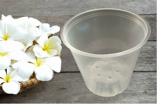 Pot d&#039;orchid&eacute;es transparent - &Oslash; 11,5 cm