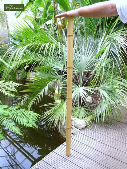 10 x Tuteurs en Bambou 150cm x &Oslash; 16-18 mm