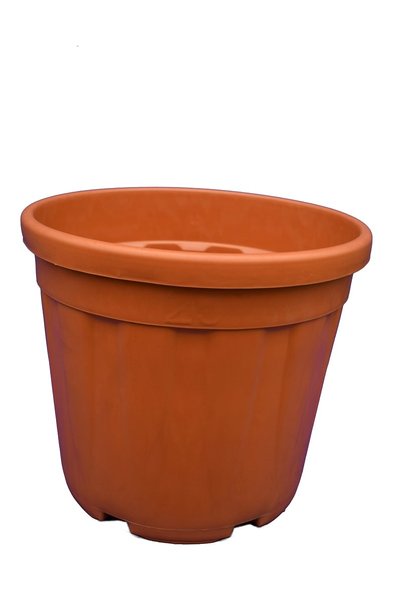 Grands pots pour palmier - Ø 36cm / 25 ltr.