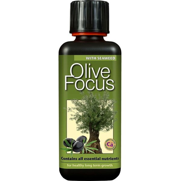 Olive Focus - 300 ml