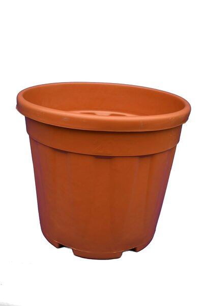 Grands pots pour palmier - Ø 35cm / 20 ltr.