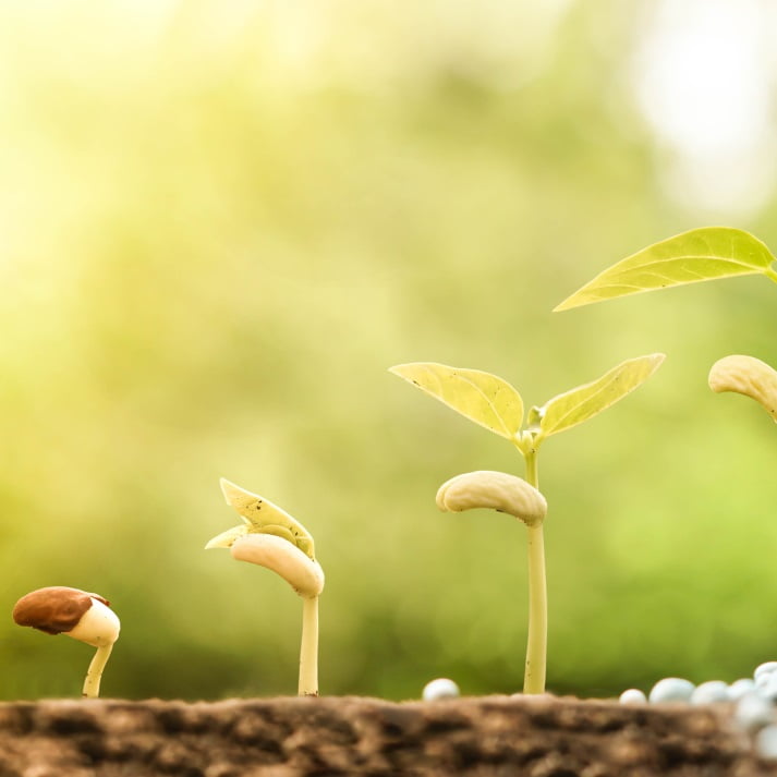 Fertilisants