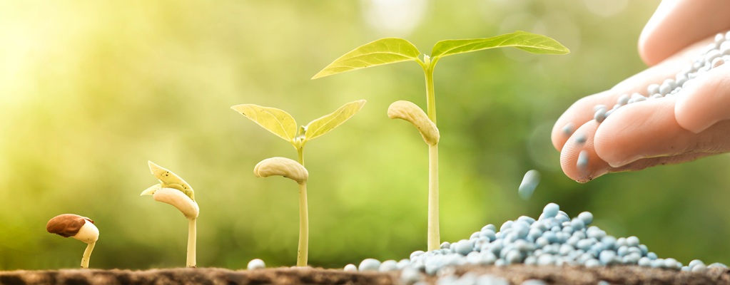 Fertilisants