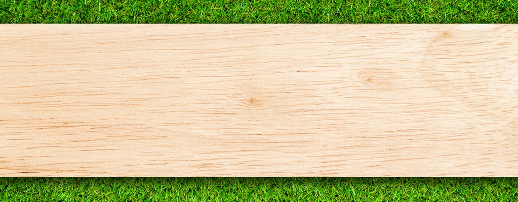 Liens et étiquettes de jardin