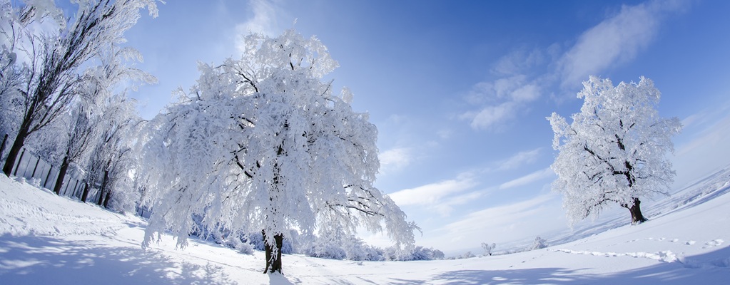 Protection hivernale