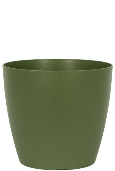 San Remo Vert