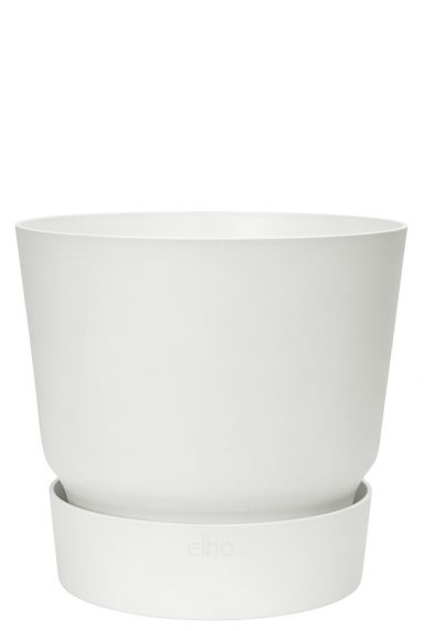 Greenville Blanc