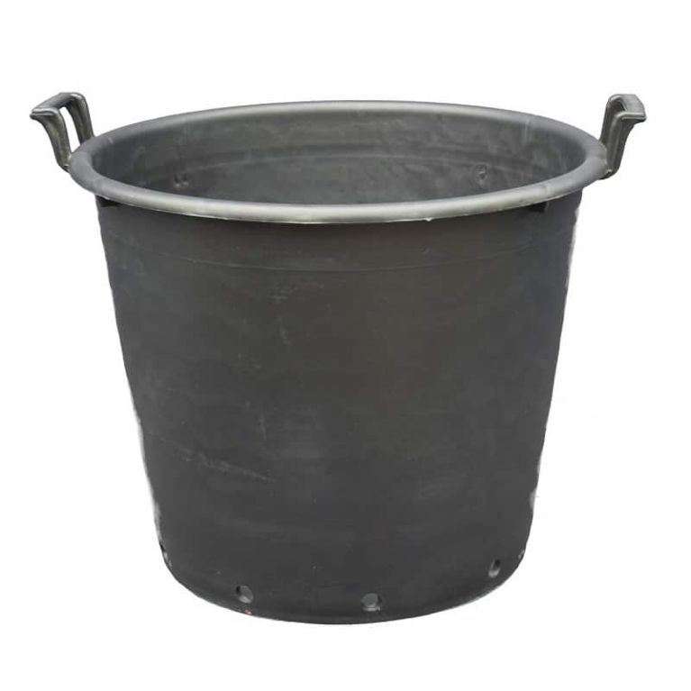 5009 - 5010 - 5011 - grote palm pot ritzi-min