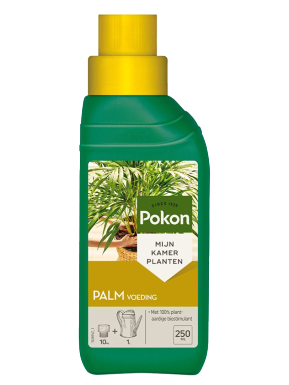 Pokon Engrais pour palmiers - 250 ML