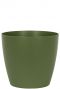 San Remo Vert